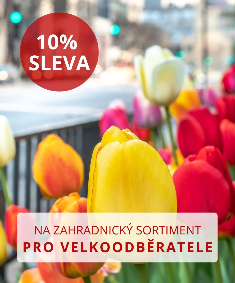 sleva 10 % pro školy, školky a obce